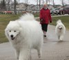 Wayne Glowacki / Winnipeg Free Press
Donna Henry, spokeswoman for Winnipeg Network of Dog Owner Groups, says dog parks are a core service in the city.