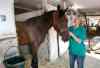 Trainer Connie Clauson with horse Kenton in the stable area at the  Assiniboia Downs backstretch.
Wayne Glowacki / Winnipeg Free Press