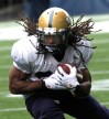 Wayne Glowacki/Winnipeg Free Press files
Running back Paris Cotton, along with safety Ian Leggett and defensive back Bruce Johnson are big cogs in the Bombers machine.