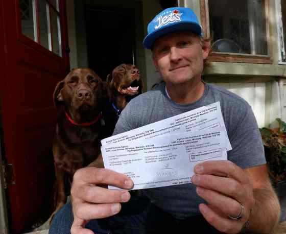 WAYNE GLOWACKI / WINNIPEG FREE PRESSCurtis Starkell with the registration renewal notices he received for his two chocolate Labradors, Lola (left) and Capone.