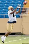 DAVID LIPNOWSKI / WINNIPEG FREE PRESS
Blue Bombers receiver Terence Jeffers-Harris snags a pass during practice at Canad Inns Stadium Sunday.