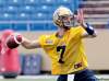 MIKE.DEAL@FREEPRESS.MB.CA
Quarterback hopeful Alex Brink hopes to see more game action on Sunday when the Bombers play their final pre-season game against the Tiger-Cats in Hamilton.