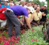 TONY DEJAK / THE ASSOCIATED PRESS
Hunter Mahan managed to get a par after hitting it into a flower bed on the 16th hole Sunday.