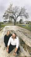 PHIL.HOSSACK@FREEPRESS.MB.CA
Dave and Holley Tweed believe the province shares some of the blame for the woes at White Horse Village, where the landlord is broke and so is the septic system.
