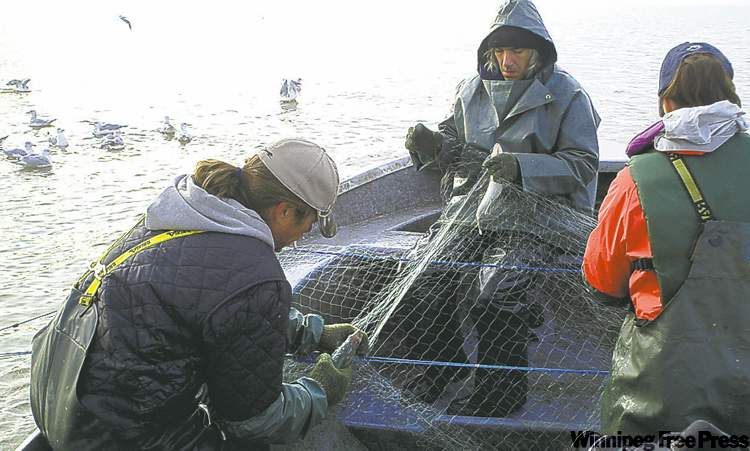 commercial fishing nets winnipeg mb Caught in a net – Winnipeg Free Press