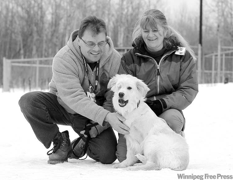 For the love of dogs — and cats, too Winnipeg Free Press