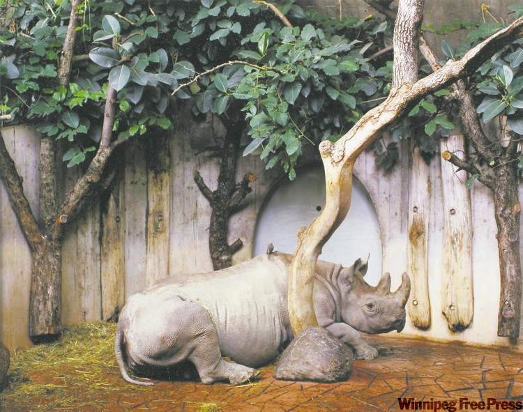 Reid wasn’t interested in 'warm and fuzzy' or sentimental interpretations of animals in the show of 113 works, which range from paintings, drawings and sculpture to photography, fabric, collage and mixed-media works.