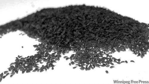 Ajwain seed