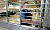MIKE DEAL / WINNIPEG FREE PRESS
Brian Buchan, head of security at Assiniboia Downs, says security guards should have training in hand-to-hand combat.