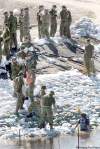 JOE BRYKSA / WINNIPEG FREE PRESS
Soldiers from CFB Shilo work on earthen dikes along Plum Creek in Souris.
