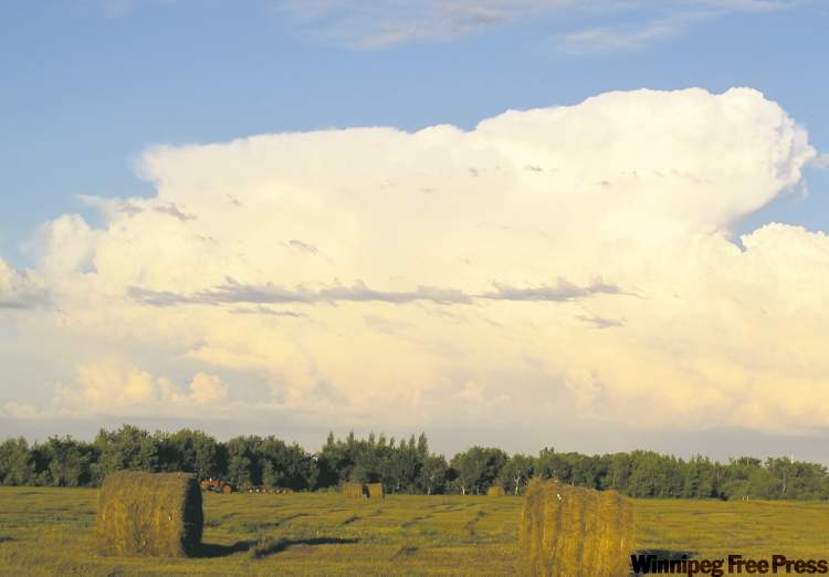 Round hay bales on the west side are a sure sign of cattle country. They become less common the farther south you go.