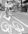 TREVOR HAGAN / WINNIPEG FREE PRESS ARCHIVEs
Transportation plan returns Nov. 15.