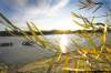 (Ruth Bonneville /  Winnipeg Free Press)