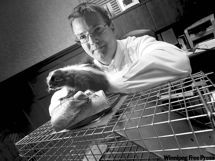 Phil Hossack / Winnipeg Free Press
Winnipeg exterminator Lincoln Poulin is advised not to send skunks to Niverville.