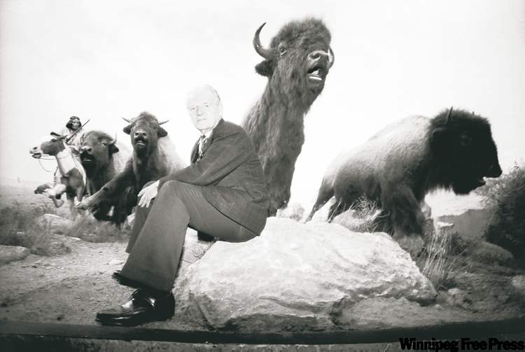 Phil Hossack / Winnipeg Free Press archives
Clarence Tillenius sits in 1990 in the bison diorama he painted at the entrance to the Manitoba Museum's exhibits.