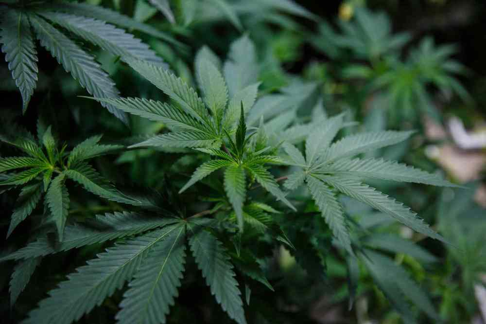 (Mike Deal / Winnipeg Free Press)