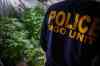 Police seized 271 plants from the home. (Mike Deal / Winnipeg Free Press)