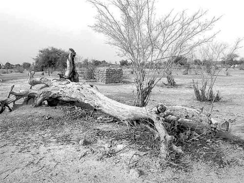 BARTLEY KIVES / WINNIPEG FREE PRESSNiger�s soil is parched at the end of the dry season in early May.