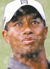 CP
Tiger Woods