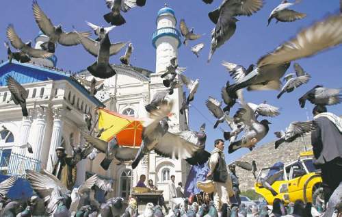 CP
Pigeons cover the sky as Afghan men gather outside Shah-e-Dushamshera mosque in Kabul, Afghanistan, Tuesday, May 22, 2012. (AP Rahmat Gul)