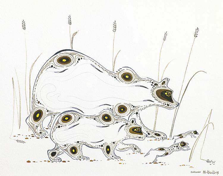 Untitled (Raccoon) by Eddy Cobiness.