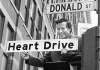 JIM WILEY / WINNIPEG FREE PRESS ARCHIVESProclaiming Donald Street Heart Drive in 1980.
