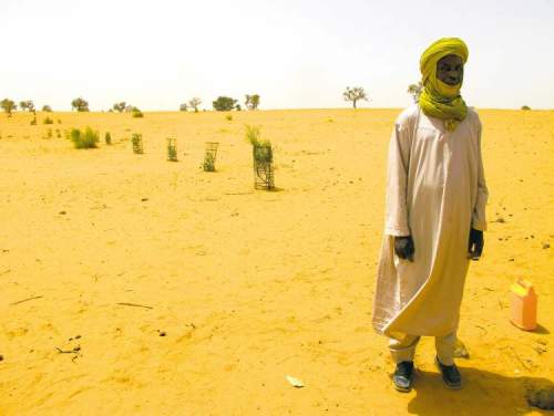 A test pilot pf drought-resistant trees outside Yatakala, Niger, at the limits of the arable land in the Sahel, a semi-arid band of Africa that sits below the Sahara Desert.