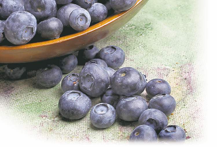 Blueberries big on flavour and health benefits, low on calories