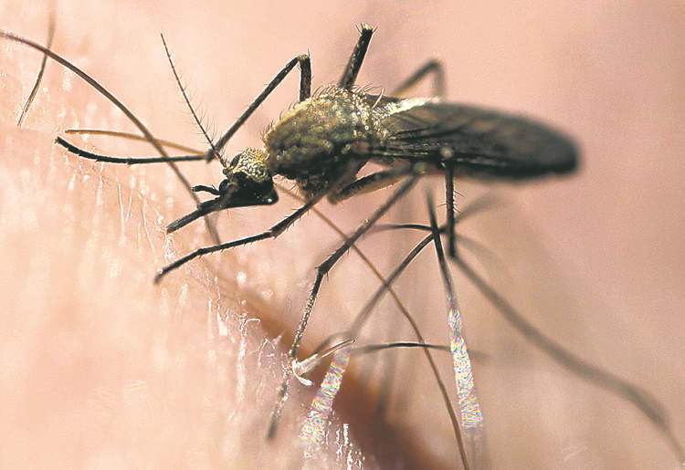 Putting a bite on buffer zones Winnipeg Free Press