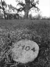 John Woods / Winnipeg Free Press
A stone marker identifies Phoenix's grave.