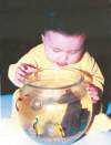 handout photo
Phoenix Sinclair is seen as an inquisitive baby in foster care.
