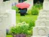 Dave O'Brien / Winnipeg Free Press
Lorraine Sinclair, a retired nurse from Calgary, pays her  respects on a rainy day at the Canadian war cemetery in Bergen Op Zoom, Holland.
