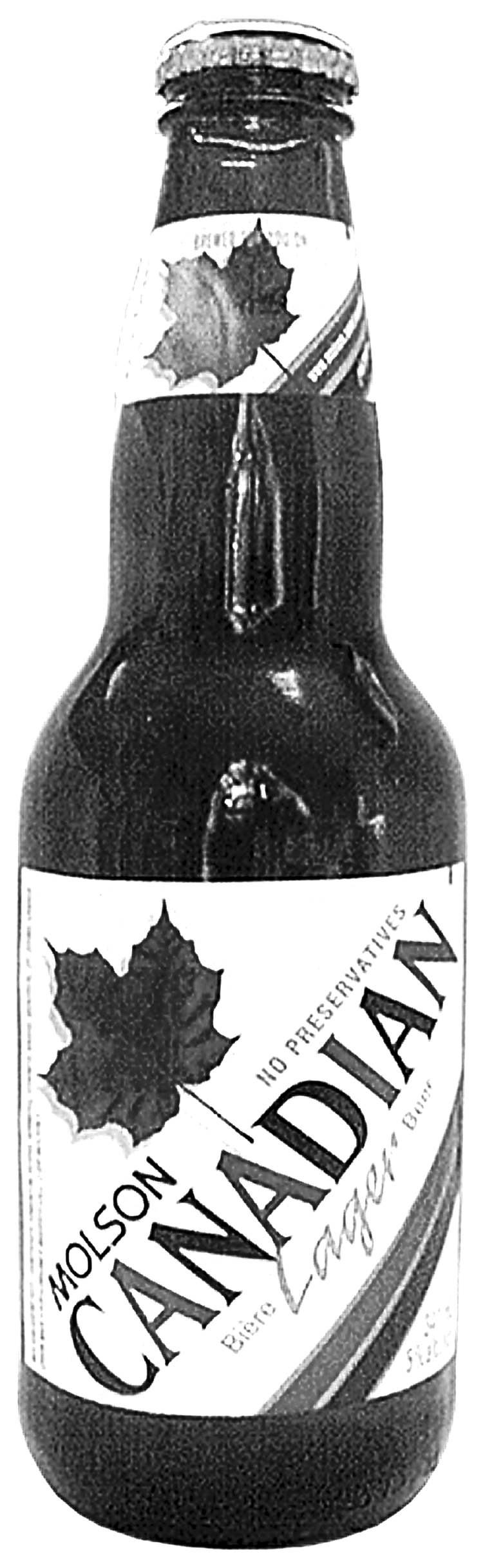 molson canadian beer bottle close cut closecut
