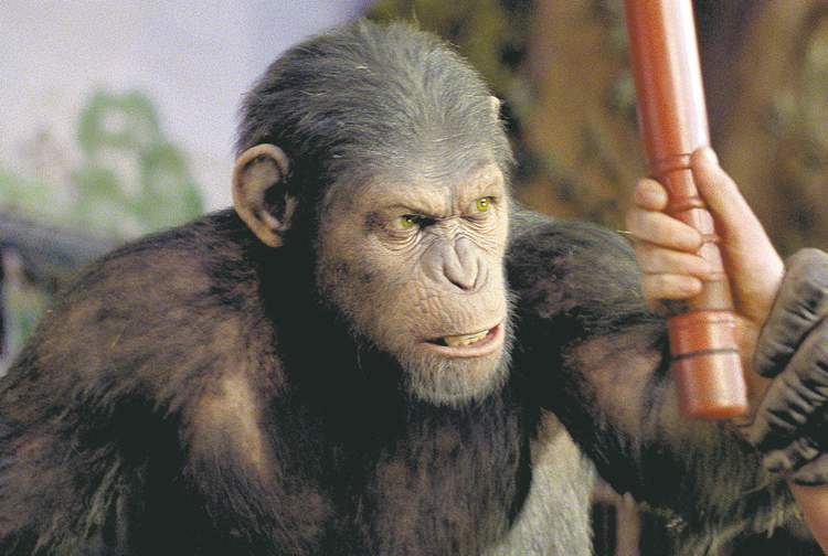 Twentieth Century Fox
Andy Serkis as Caesar in the Rise of the Planet of the Apes.