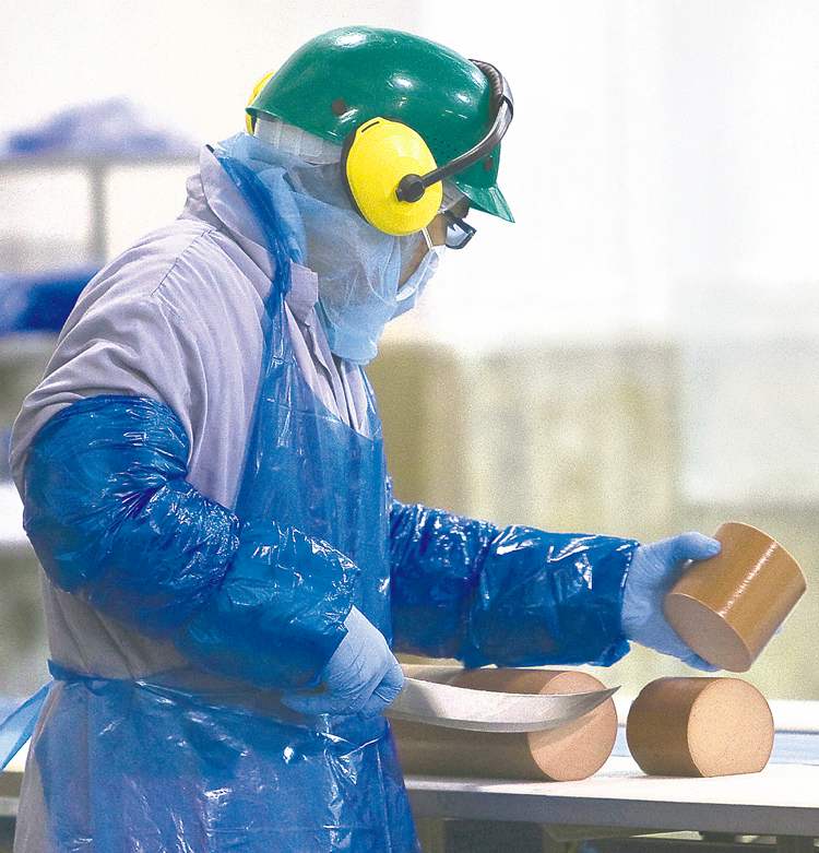 Meat packer gave CFIA wrong info Winnipeg Free Press