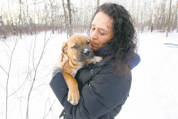 JOE BRYKSA / WINNIPEG FREE PRESS
Cathy Brule cuddles Lucas, a bull mastiff pup she got for Christmas. Her dog Bobby went missing in August.