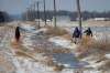 John Woods / The Canadian Press
Volunteers search through a ditch beside a farmers' field hoping to find 2-year-old Chase Martens near Austin, Man., on Friday, March 25, 2016. An overnight snowfall is making the search, a race against time in locating the missing boy, even more difficult.