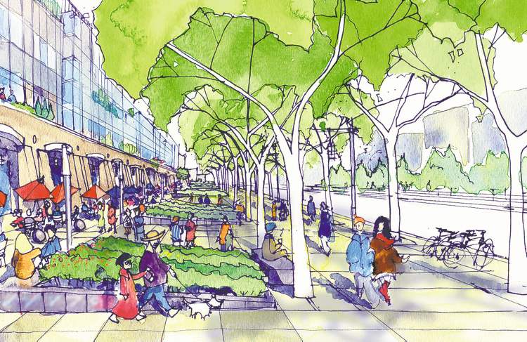 Streetscape Architectural Sketches Stanthorpe's Streetscape Crafted