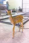 Submitted photo Bambi is seen wandering into a metal shop on the Windy Bay Hutterite colony.