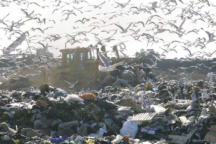 Michael Gordichuk, the city’s manager of solid waste services, believes if all goes as planned, methane produced at the landfill by waste decomposition will be converted to create a new energy source in the near future. (Ken Gigliotti / Winnipeg Free Press files)