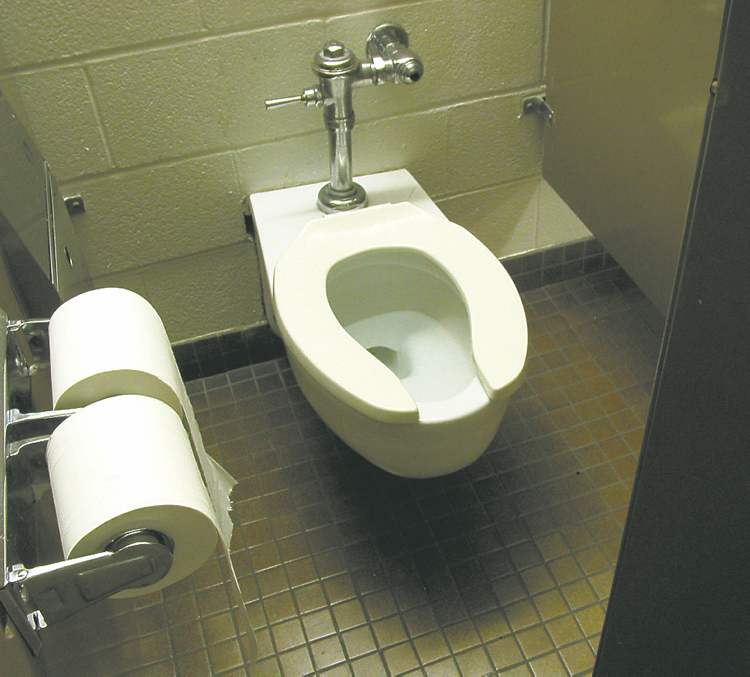 POSTMEDIA FILE PHOTO
Do you know why toilet seats are U or O shaped?