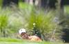 John Raoux / the associated press
Tiger Woods hits from a bunker on the second hole at TPC Sawgrass on Thursday.