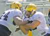 TREVOR HAGAN / WINNIPEG FREE PRESS
Blue Bombers linemen Chris Greaves (left) and Shannon Boatman participate a drill Wednesday. The hogs know it's on them to keep QB Buck Pierce off the turf.