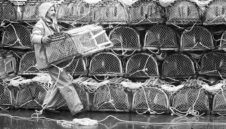 Lobster Tale Needs An Ending Winnipeg Free Press