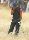 CP
Tiger Woods