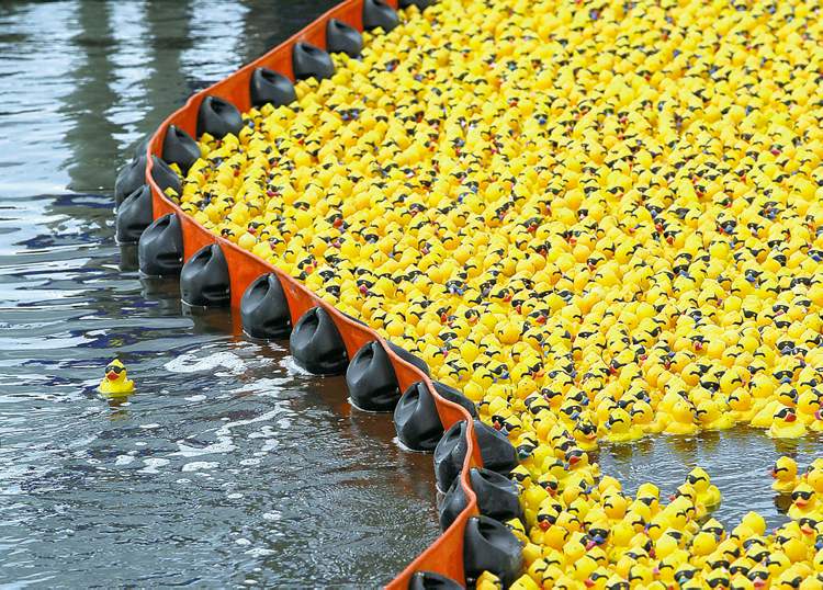 Things to do Winnipeg Free Press