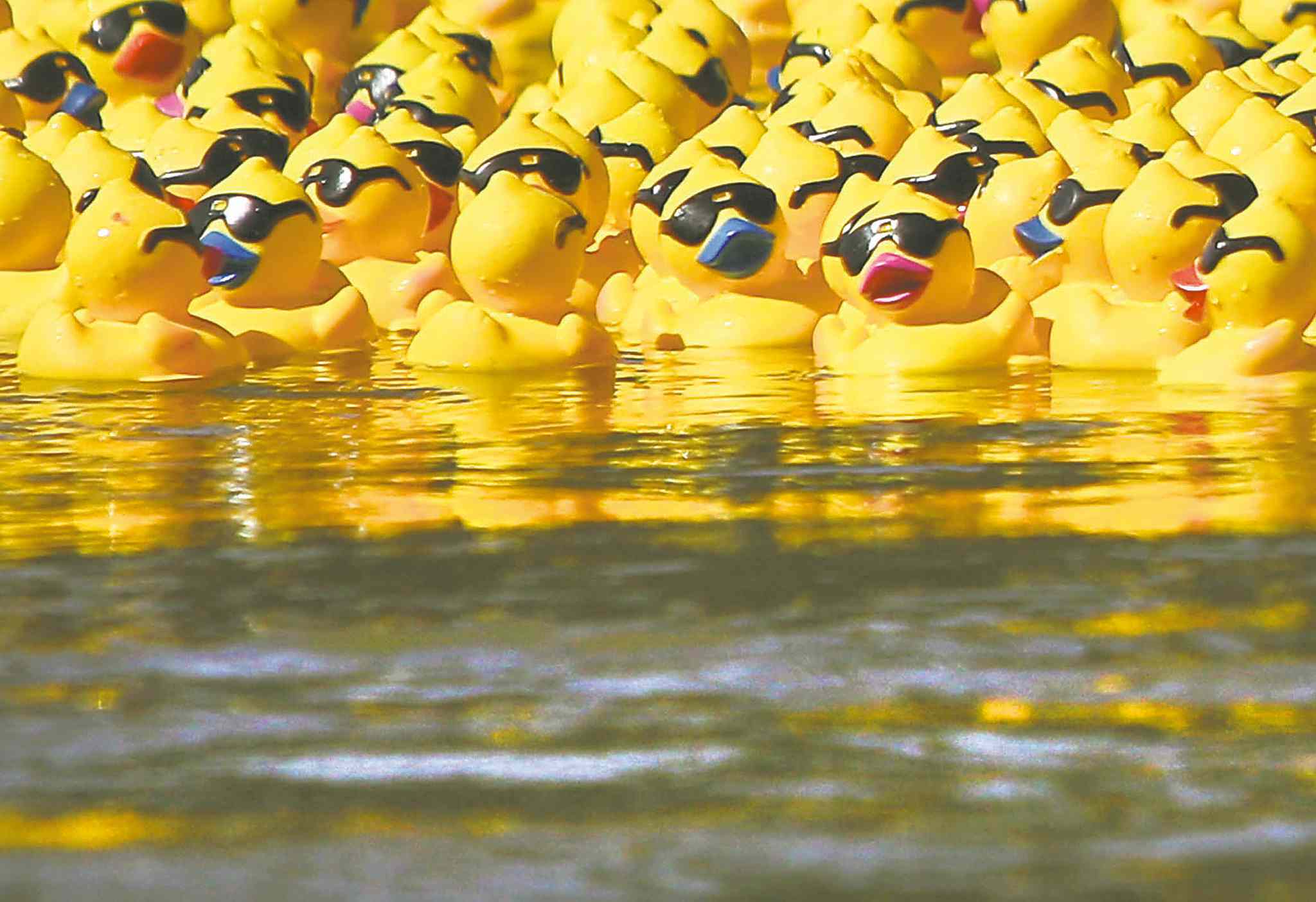Rubber ducky, you’re the one Winnipeg Free Press