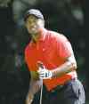 CP
John Bazemore / the associated press archivesTiger Woods has won five times at Muirfield, site of this year�s Presidents Cup.