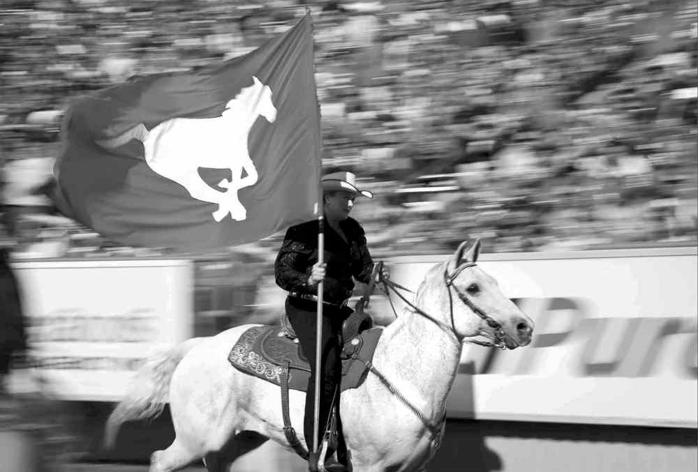 CP
Jeff McIntosh / the canadian press archives
Calgary�s touchdown horse Quick Six could die of exhaustion tonight.