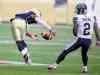 TREVOR HAGAN / WINNIPEG FREE PRESS
Winnipeg Blue Bombers DB Brandon Stewart flubs an easy interception opportunity against the Argos on Saturday afternoon.